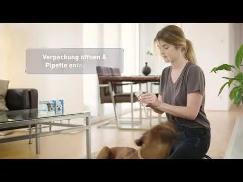 Vídeo sobre FRONTLINE Spot en H 10 vet.Solución, 6 piezas