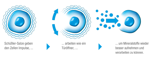 BIOCHEMIE DHU 3 Ferrum phosphoricum D 6 comprimidos, 200 uds