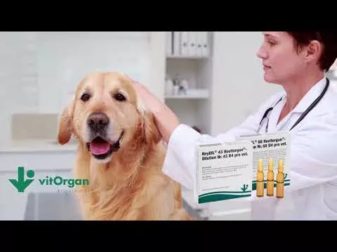 Vídeo sobre NeyDIL® No. 68 Revitorgan® D4 pro vet.Ampollas, 5X2 ml