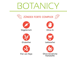 ZÜNDEX forte Complex con OptiMSM Cápsulas, 60 Cápsulas