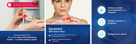 SOVENTOL Spray antipicor, 8 ml