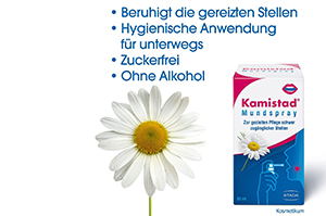 KAMISTAD Aerosol oral, 20 ml