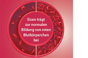 EISEN DIREKT más vitamina C+ácido fólico+B12 en polvo, 60 uds