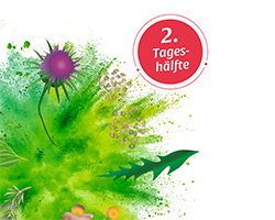 BASEN AKTIV Té n.º 2 Diente de león Salus ecológico, 40 uds