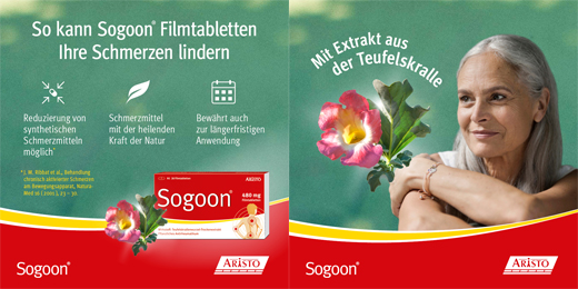 SOGOON 480 mg comprimidos recubiertos con película, 200 unidades