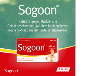 SOGOON 480 mg comprimidos recubiertos con película, 200 unidades