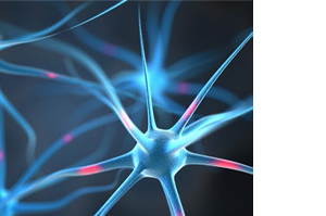 NEUROPEP Cápsulas, 30 uds
