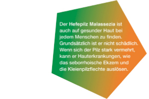 KETOZOLIN Champú al 2%, 120 ml