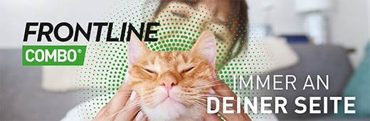 FRONTLINE Combo Spot on preparación piel de gato, 6 uds
