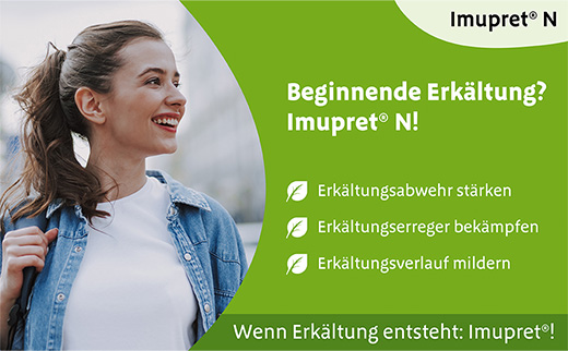 IMUPRET N Comprimidos recubiertos, 100 uds