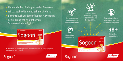 SOGOON 480 mg comprimidos recubiertos con película, 200 unidades