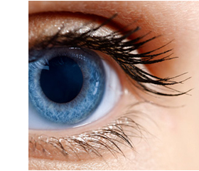 HYLO NIGHT Pomada ocular, 5 g