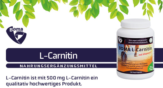 L-CARNITIN 500 cápsulas, 100 uds