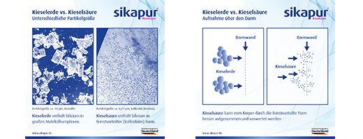 SIKAPUR Cápsulas de gelatina blanda de ácido silícico con biotina, 90 uds