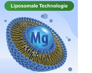 GLYCOWOHL vital liposomal magnesio cápsulas de alta dosis, 120 uds