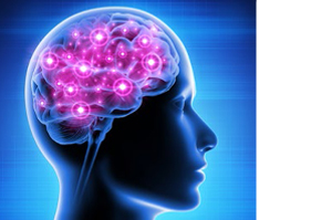 NEUROPEP Cápsulas, 30 uds