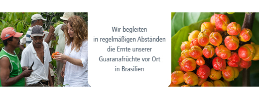 GUARANA POLVO, 100 g