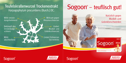 SOGOON 480 mg comprimidos recubiertos con película, 200 unidades