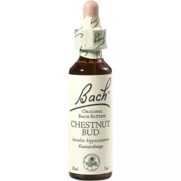 BACHBLÜTEN Gotas de cogollos de castaño, 20 ml