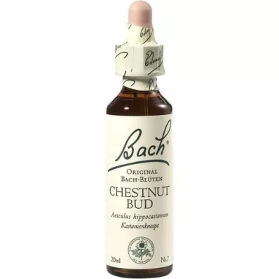 BACHBLÜTEN Gotas de cogollos de castaño, 20 ml