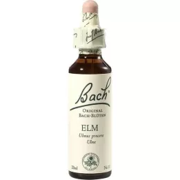 BACHBLÜTEN Gotas de olmo, 20 ml