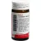 CANTHARIS BLASEN Globos velados, 20 g