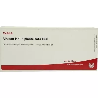 VISCUM PINI e planta tota D 60 ampollas, 10X1 ml