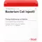 BACTERIUM COLI Ampollas Injeel, 10 piezas