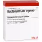 BACTERIUM COLI Ampollas Injeel, 10 piezas