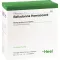 BELLADONNA HOMACCORD Ampollas, 100 piezas