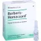 BERBERIS HOMACCORD Ampollas, 10 piezas