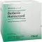 BERBERIS HOMACCORD Ampollas, 100 piezas