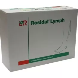 ROSIDAL Pierna linfática grande, 1 pieza