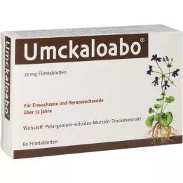 UMCKALOABO 20 mg comprimidos recubiertos con película, 60 unidades