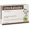 UMCKALOABO 20 mg comprimidos recubiertos con película, 60 unidades