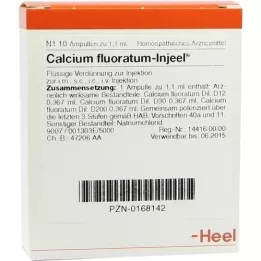 CALCIUM FLUORATUM INJEEL Ampollas, 10 piezas