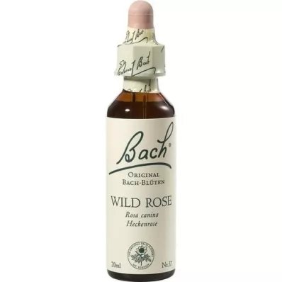 BACHBLÜTEN Gotas de rosa silvestre, 20 ml