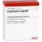 CANTHARIS INJEEL Ampollas, 10 piezas