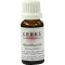 CERES Tintura madre de absintio, 20 ml