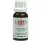 CERES Tintura madre de Avena sativa, 20 ml