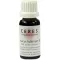 CERES Tintura madre de Dipsacus fullonum, 20 ml