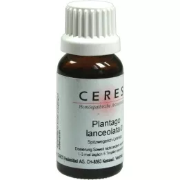 CERES Tintura madre de Plantago lanceolata, 20 ml