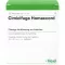 CIMICIFUGA HOMACCORD Ampollas, 10 piezas
