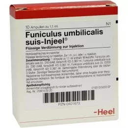 FUNICULUS UMBILICALIS ampollas suis Injeel, 10 piezas