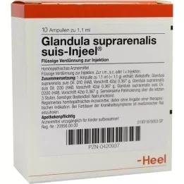 GLANDULA SUPRARENALIS ampollas suis Injeel, 10 piezas