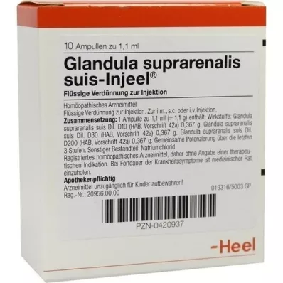 GLANDULA SUPRARENALIS ampollas suis Injeel, 10 piezas