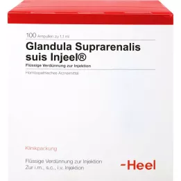 GLANDULA SUPRARENALIS ampollas suis Injeel, 100 piezas