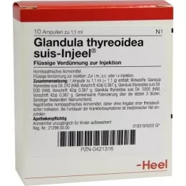 GLANDULA THYREOIDEA suis Injeel ampollas, 10 piezas