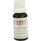 CERES Comp. Daucus. gotas, 20ml