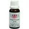 CERES Ginkgo dryopteris comp. gotas, 20ml